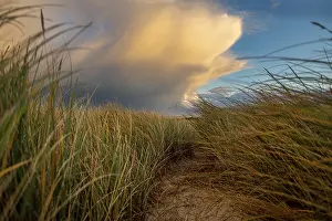 Dune Landscape Prints: Dune Landscape with Thundercloud