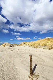 Sandy Ocean Beach Scene Prints: In front of the dunes