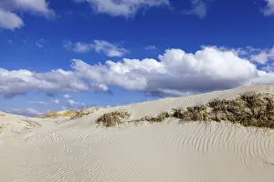 Northern Germany Coast Prints: In front of the dunes