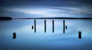 German Federal Republic Lake Views Prints: Dusk at the Muritz, Posts in the water