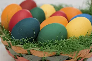 Colorful Easter Eggs Prints: Dyed eggs lying in an easter basket
