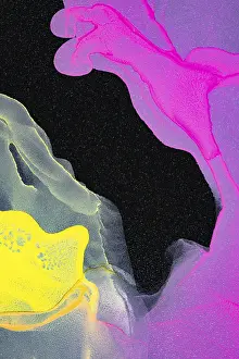 Colorful Background Design Prints: A dynamic abstract artwork featuring splashes of neon pink