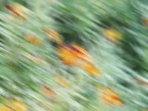 Vibrant Abstract Art Prints: This dynamic image features a colorful