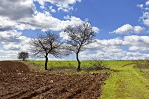 Uninhabited Natural Scenery Prints: Early Spring