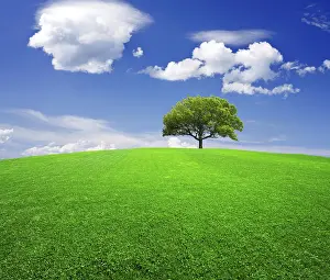 Deserted Countryside Scene Prints: Earth