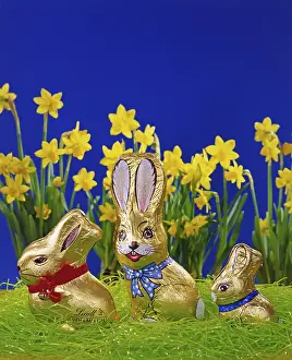Colourful Easter Eggs Germany Prints: Easter bunny made of chocolate