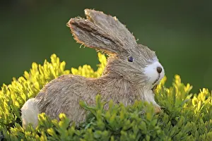 Resurrection Symbolism Prints: Easter bunny figure