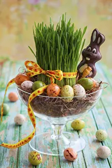 Green Grass Background Prints: Easter composition with fresh green grass