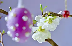 Spring In Germany Prints: Easter, Easter bouquet with colorful Easter eggs