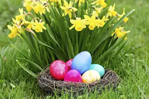 Springtime Landscape Photography Prints: Easter, Easter eggs, Spring, Spring meadow