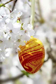 Deserted Holiday Scene Prints: Easter egg and cherry blossoms