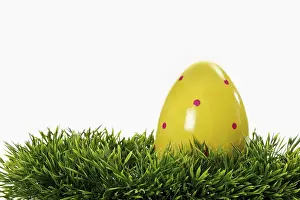Colorful Symbolic Picture Prints: Easter egg on grass