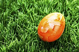 Close Up Easter Egg Prints: Easter egg on a lawn