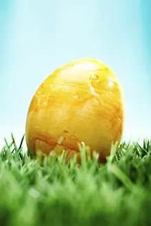 Painted Easter Eggs Prints: Easter egg on a lawn