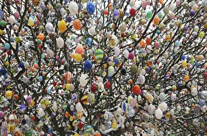 Colorful Easter Eggs Europe Prints: Easter egg tree, Germany