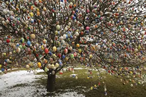 Traditional German Easter Eggs Prints: Easter egg tree, Germany