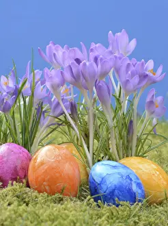Colorful Meadow Prints: Easter eggs, Easter egg, eggs, Easter