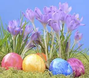 Early Spring Flowers Prints: Easter eggs, Easter egg, eggs, Easter