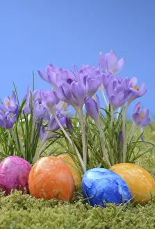 Heralds Of Spring Prints: Easter eggs, Easter egg, eggs, Easter