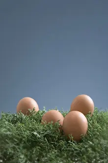 Studio Shot Of Eggs Prints: Easter eggs in the grass