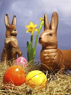 Easter Decoration Ideas Prints: Three Easter eggs in a nest in front of daffodils with Easter bunny