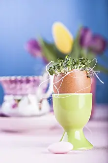 Uninhabited Outdoor Space Prints: The easter installation with eggs and plants