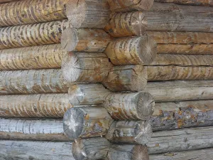 Deserted Alpine Cabin Prints: Eche of a log house