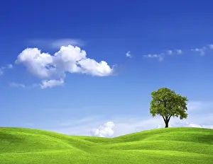 Framed Print : EcoGreen Print by imageBROKER