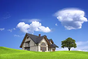 Deserted Homes Prints: Ecolife