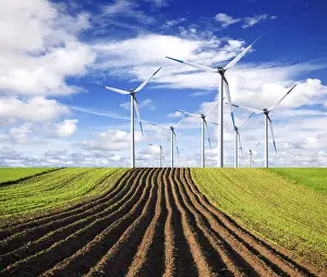 Deserted Windmill Prints: Ecological direction