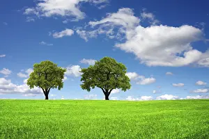 Deserted Countryside Prints: Ecological landscape
