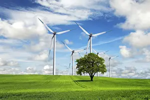 Deserted Windmill Prints: Ecological priority