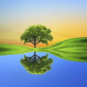 Ecological Farming Practices Prints: Ecology