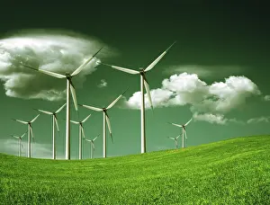 Deserted Windmill Prints: Ecology