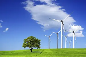 Deserted Windmill Prints: Ecology