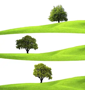 Ecology Concept Prints: Ecology concept