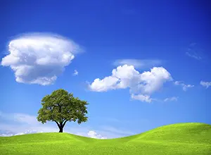 Agricultural Landscapes Prints: Ecology and Environment