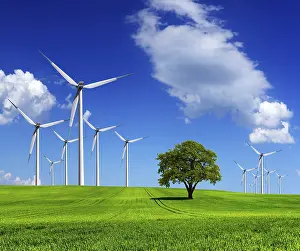 Electric Mill Station Prints: Ecology - Wind of change