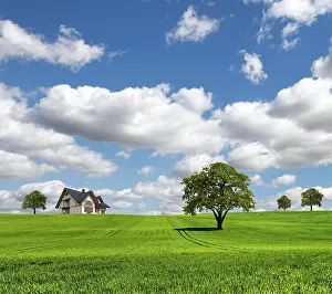 Agrarian Farming Practices Prints: EcoRegion