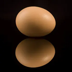 Egg Nutrition Facts Prints: Egg