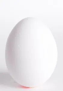 Egg Nutrition Prints: Egg