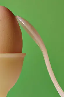 Nutrition Food Prints: Egg cup with eggs
