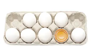 White Background Animal Photography Prints: Egg in packing, one is, yolk in shell