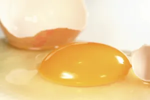Egg Yolk Nutrition Prints: Egg yolk