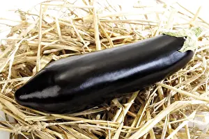 Eggplant Nutrition Prints: Eggplant on straw