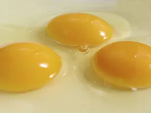 Fried Eggs Prints: Three eggs