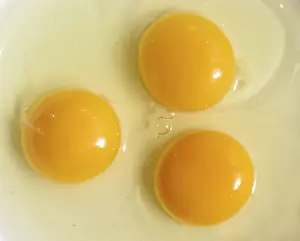 Horizontal Format Prints: Three eggs