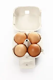 Studio Shot Of Eggs Prints: Four eggs in a cardboard box