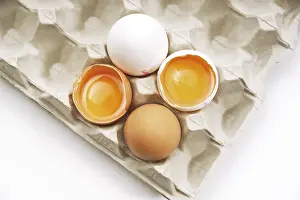 White Eggs Prints: Eggs in a carton