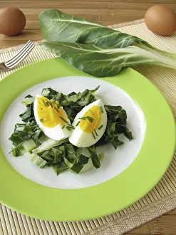 Nutrition Rich Food Prints: Eggs on chard vegetables